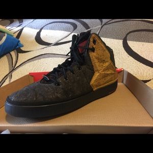 Nike Lebron James 11 NSW